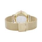 Yellow Gold Stainless Steel Mesh Band with White Dial
